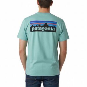 Patagonia Men's Deep Aqua Cotton Signature Mountain Back Hit SS T-Shirt Size L
